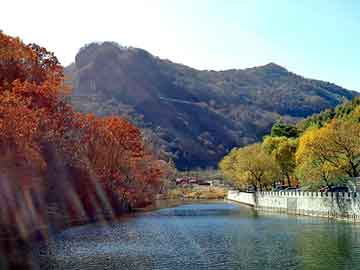 新澳天天开奖资料大全旅游团，西面来风怎么样